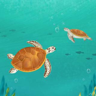 Sea life iPhone wallpaper