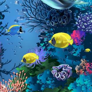 Sea life iPhone wallpaper