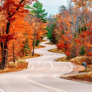 Autumn trips wallpaper