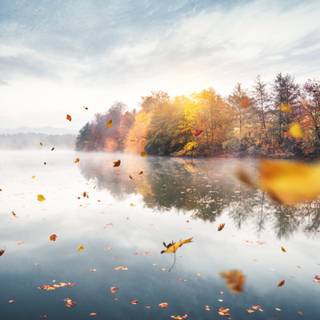 Autumn trips wallpaper