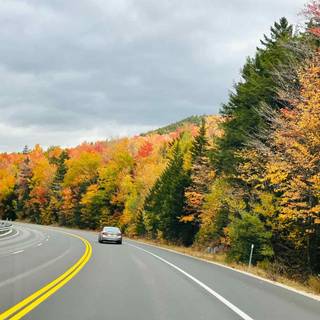 Autumn trips wallpaper