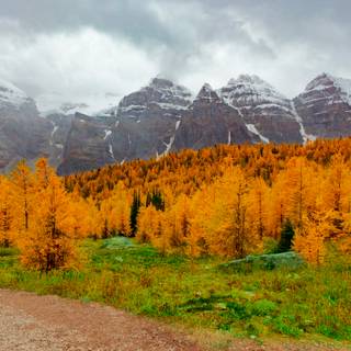 Rocky Mountains autumn wallpaper