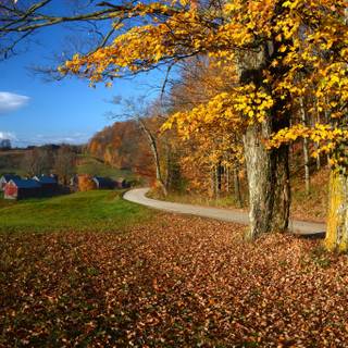 Autumn trips wallpaper