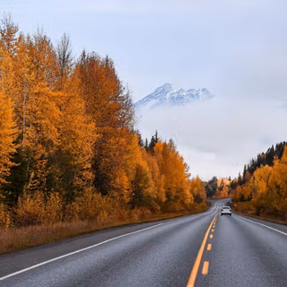 Autumn trips wallpaper