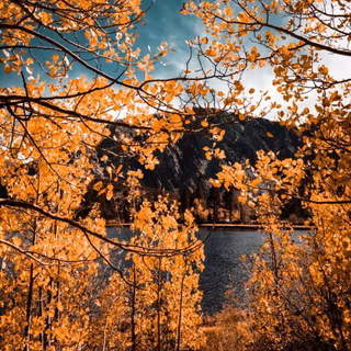 Autumn trips wallpaper