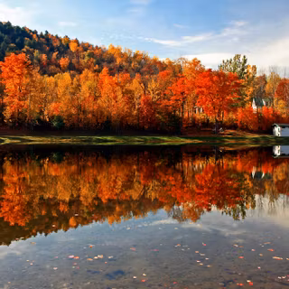 Autumn trips wallpaper