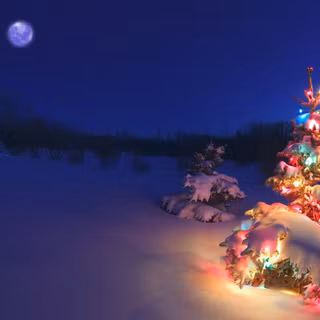 Christmas winter nights wallpaper