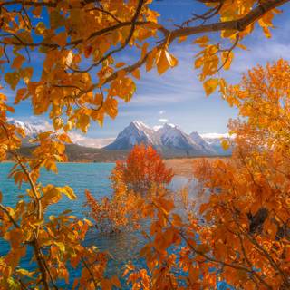 Rocky Mountains autumn wallpaper