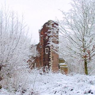 Winter old castle wallpaper