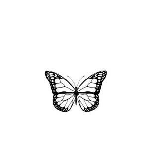 Butterfly black and white wallpaper