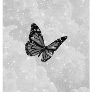 Butterfly black and white wallpaper