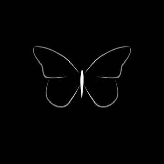 Butterfly black and white wallpaper