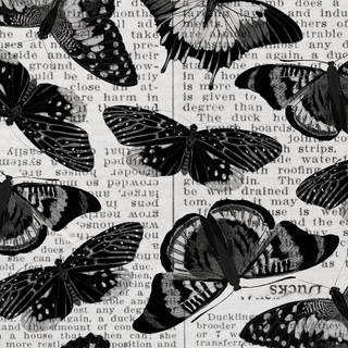 Butterfly black and white wallpaper