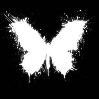 Butterfly black and white wallpaper