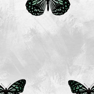 Butterflies phone wallpaper