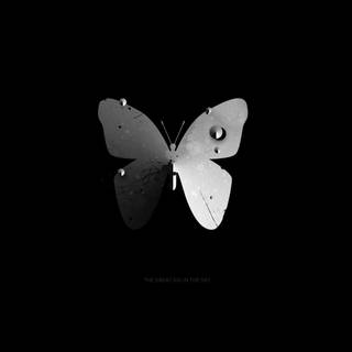 Butterfly black and white wallpaper