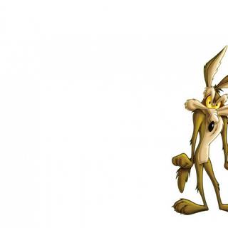 Wile E. Coyote wallpaper