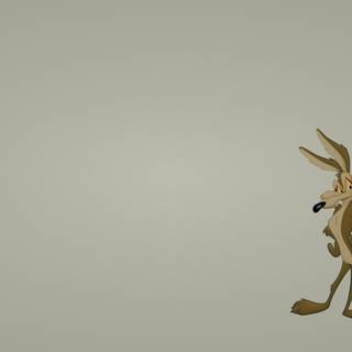 Wile E. Coyote wallpaper