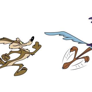 Wile E. Coyote wallpaper
