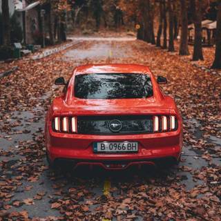 Fall car wallpaper