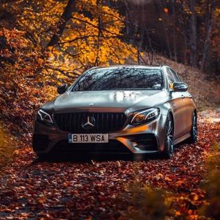 Fall car wallpaper