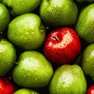 Green fruit wallpaper