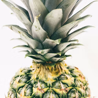 Green fruit wallpaper