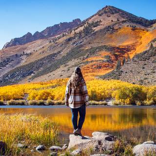 Mountain lake camping wallpaper