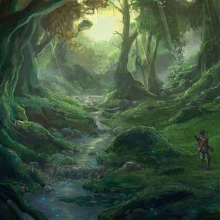 Forest adventure wallpaper