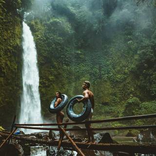 Forest adventure wallpaper