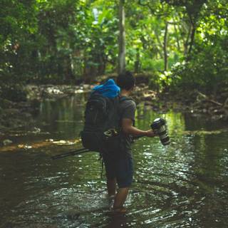 Forest adventure wallpaper