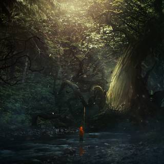 Forest adventure wallpaper