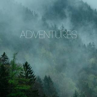 Forest adventure wallpaper