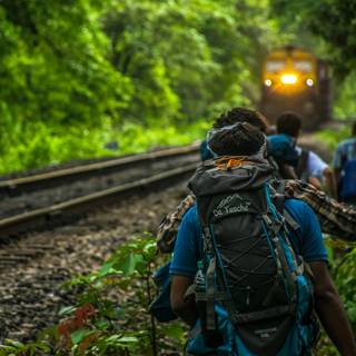 Forest adventure wallpaper