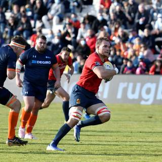 Rugby World Cup wallpaper