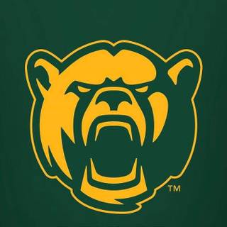 Baylor Bears football wallpaper