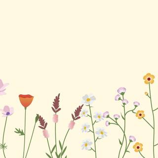 Wildflower stem wallpaper