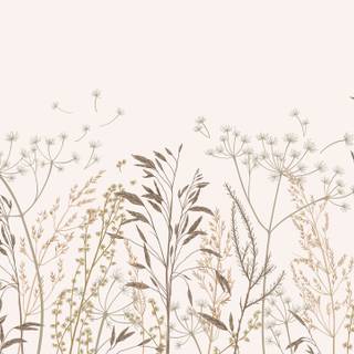 Wildflower stem wallpaper