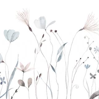 Wildflower stem wallpaper