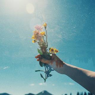 Wildflower stem wallpaper