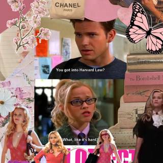 Aesthetic Legally Blonde wallpaper