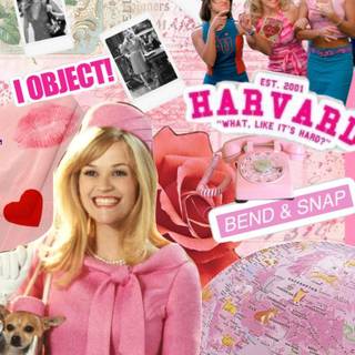 Aesthetic Legally Blonde wallpaper