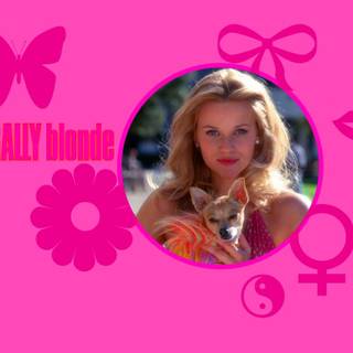 Aesthetic Legally Blonde wallpaper