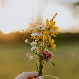 Wildflower stems wallpaper