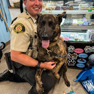 Police K-9 unit wallpaper