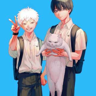 The Summer Hikaru Died wallpaper