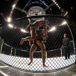 MMA cage wallpaper