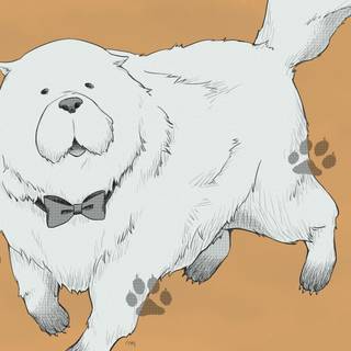 Spy x Family Bond wallpaper