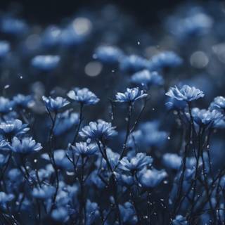 Y2k flower wallpaper