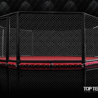 MMA cage wallpaper